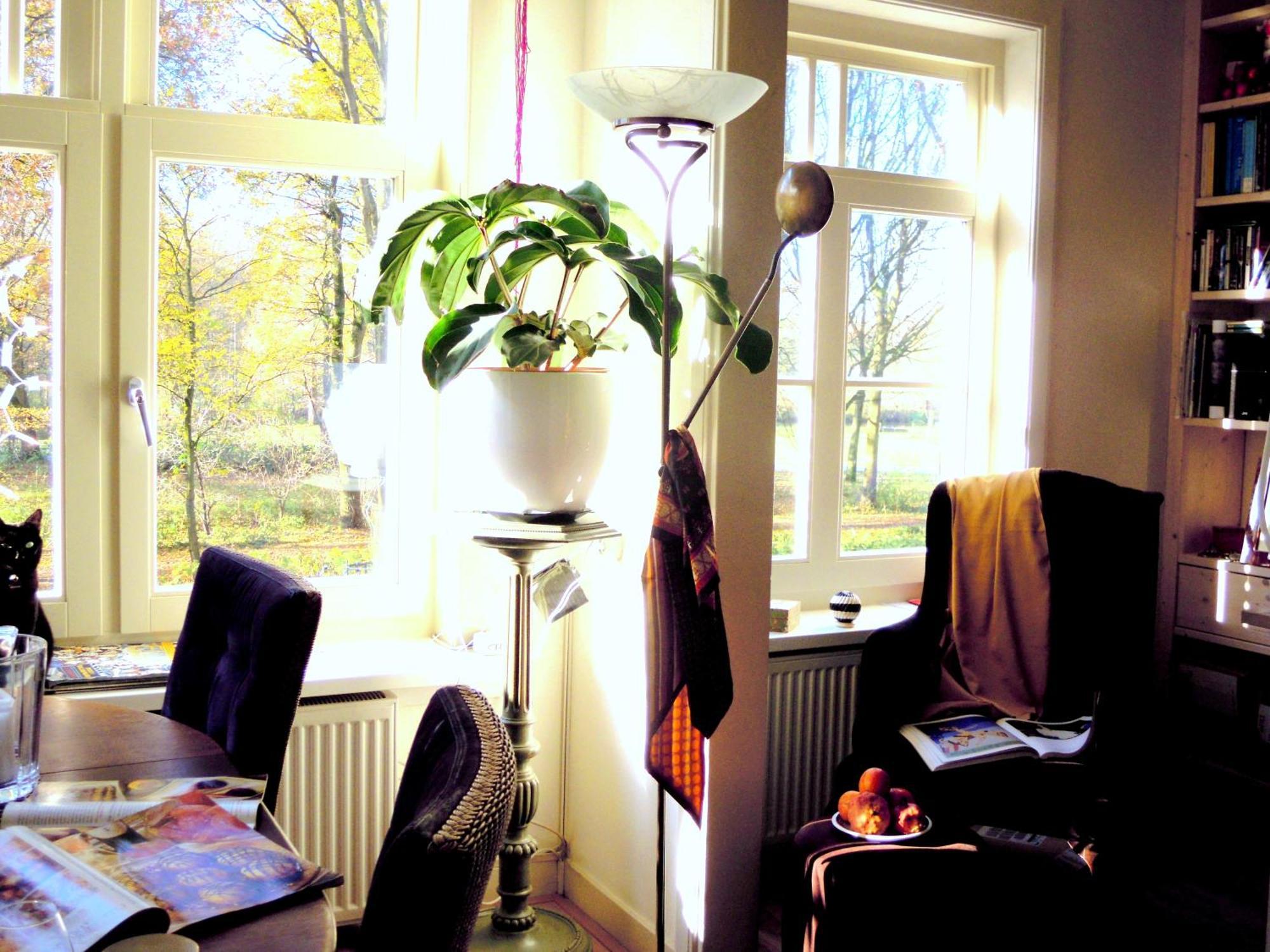 Breakfast at MissOrtelia B&B Amsterdam Eksteriør billede